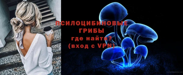 ПСИЛОЦИБИНОВЫЕ ГРИБЫ Лихославль